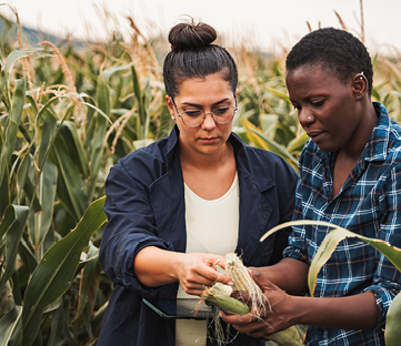 Real results, faster